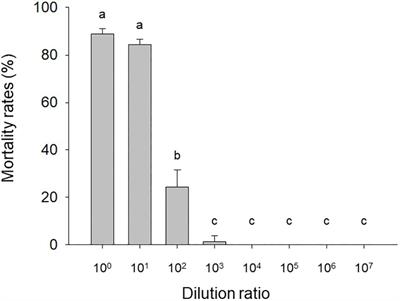 Growth and Development of Helicoverpa armigera (Lepidoptera: Noctuidae) Larvae Infected by Heliothis virescens ascovirus 3i (HvAV-3i)